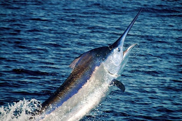 In the grander scheme of things